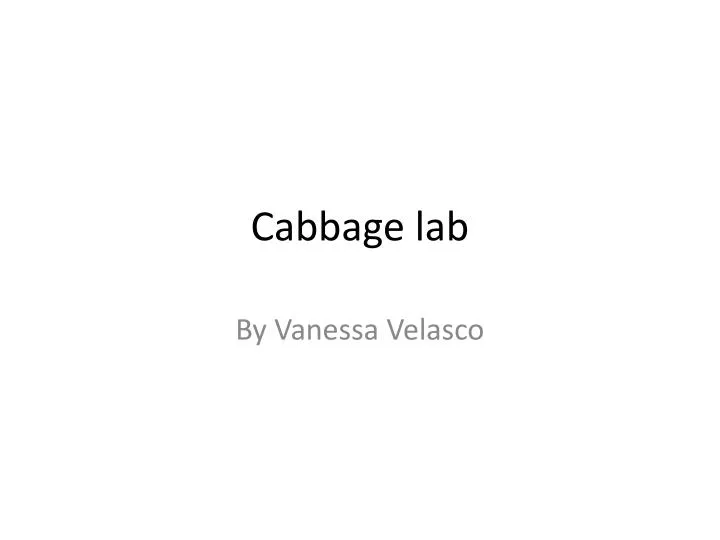 cabbage lab
