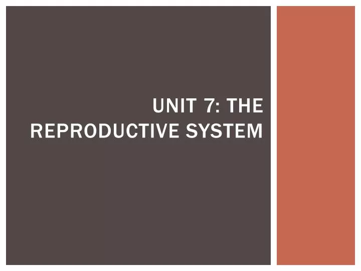 unit 7 the reproductive system
