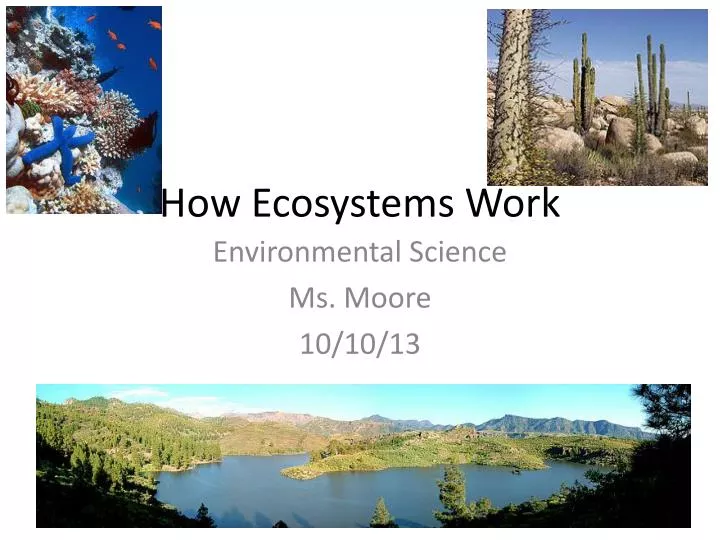 how ecosystems work