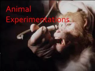 Animal Experimentations