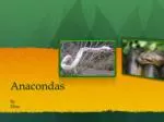 Anacondas - slide 1