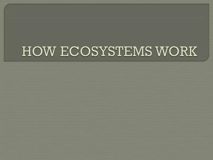 how ecosystems work