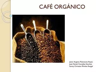 caf org nico