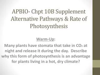 APBIO- Chpt 10B Supplement Alternative Pathways &amp; Rate of Photosynthesis