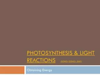 Photosynthesis &amp; Light Reactions (song) (Song) (Rap)