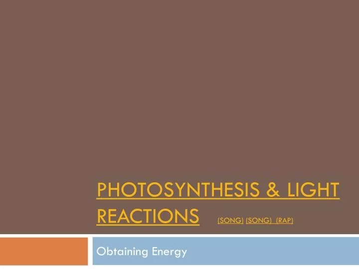 photosynthesis light reactions song song rap