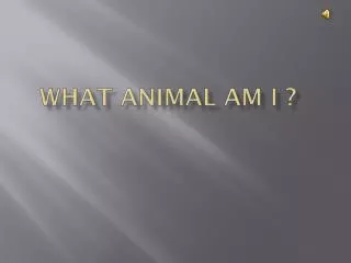 What animal am I ?