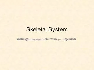 Skeletal System