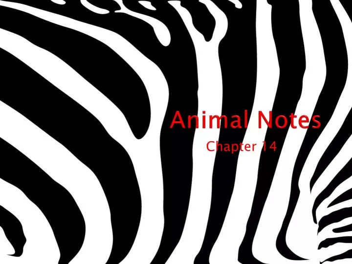 animal notes