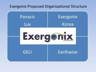 Exergonix Proposed Organizational Structure