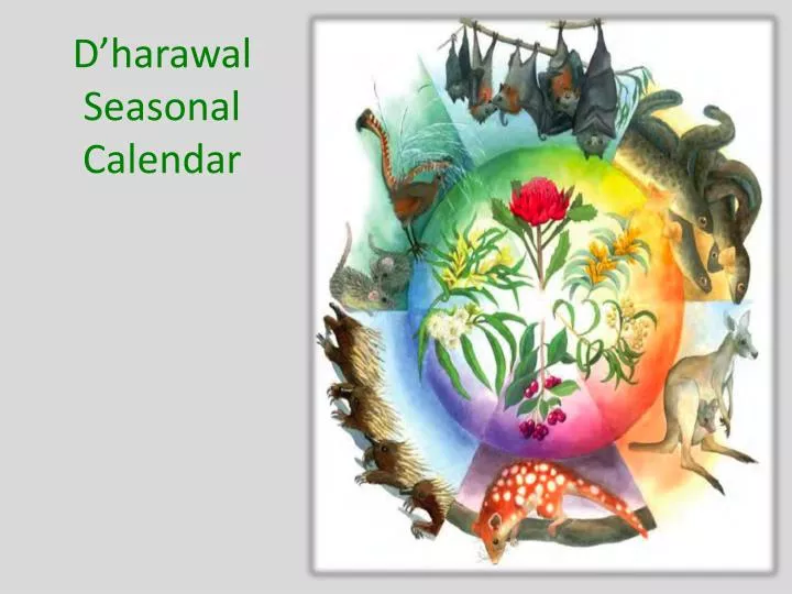 d harawal seasonal calendar
