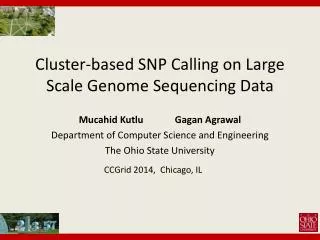Cluster-based SNP Calling on Large Scale Genome Sequencing Data