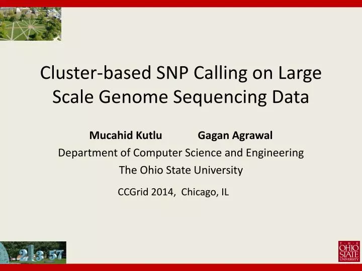 cluster based snp calling on large scale genome sequencing data