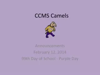 CCMS Camels