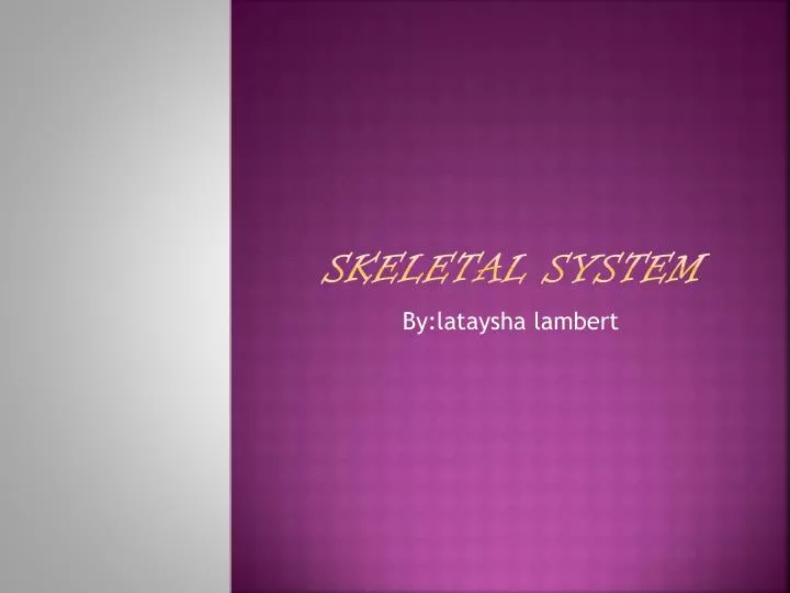 skeletal system