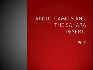 About camels and the Sahara desert.