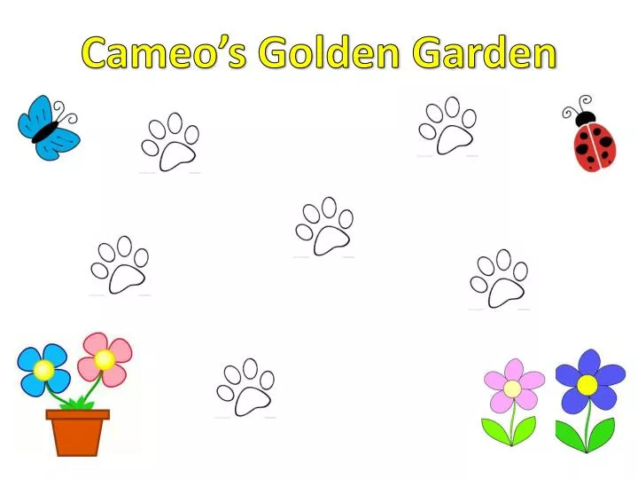 cameo s golden garden