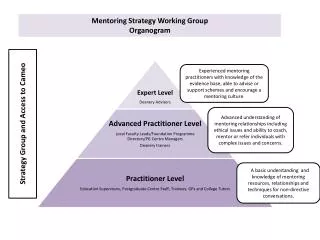 Mentoring Strategy Working Group Organogram