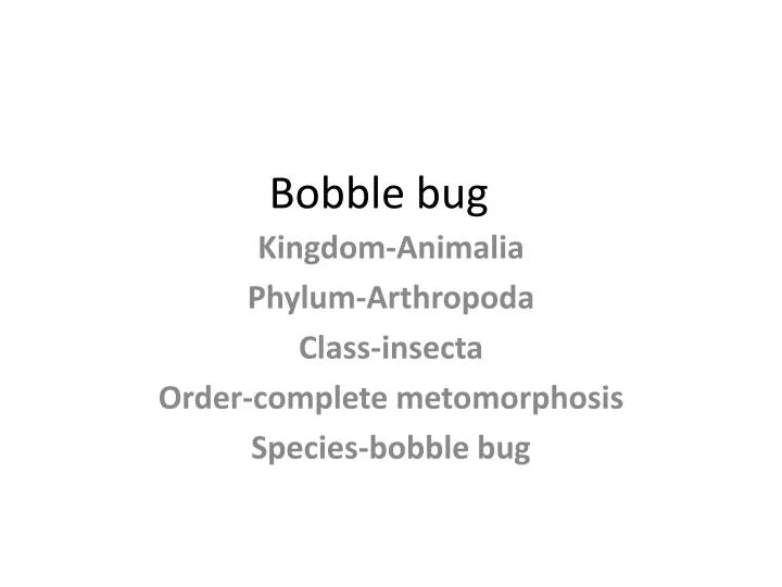 bobble bug