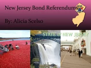 New Jersey Bond Referendums By: Alicia Scelso