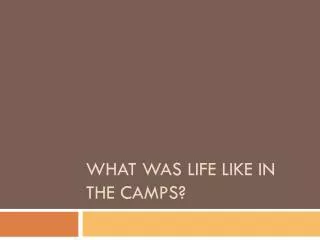 What was L ife L ike in the Camps?