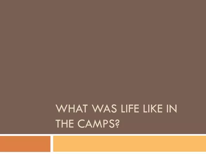 what was l ife l ike in the camps