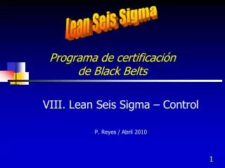 programa de certificaci n de black belts