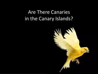 Are There Canaries in the Canary Islands?