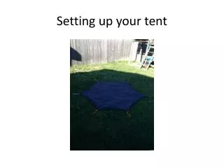Setting up your tent