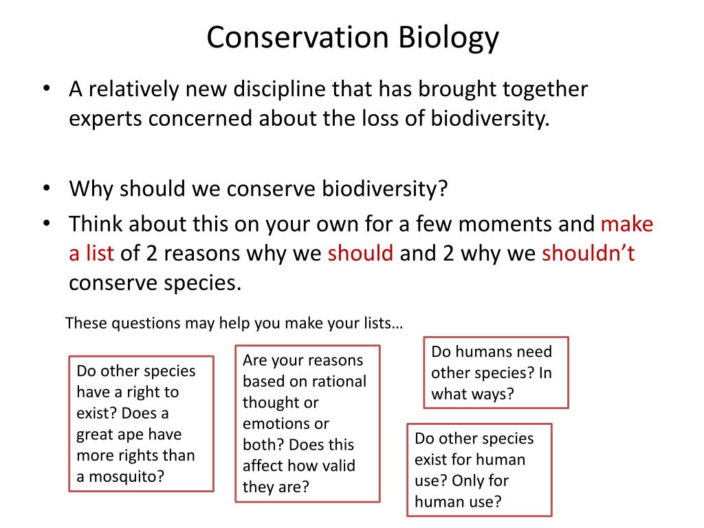 PPT - Conservation Biology PowerPoint Presentation, free download - ID ...