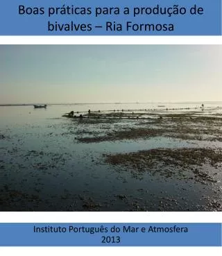 Boas práticas para a produção de bivalves – Ria Formosa