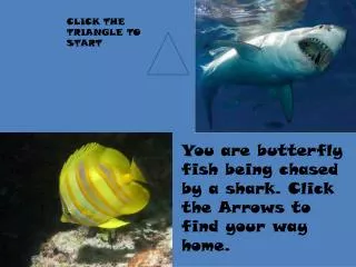 You are butterfly fish being chased by a shark. Click the Arrows to find your way home.