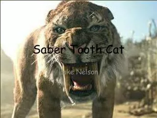 Saber T ooth Cat