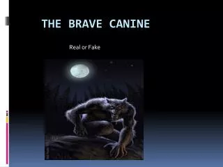 The Brave Canine