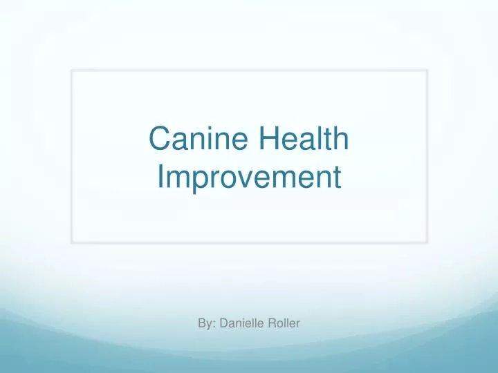 canine health improvement