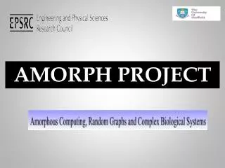 AMORPH PROJECT