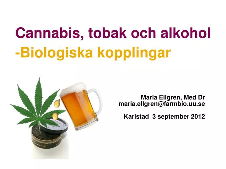 cannabis tobak och alkohol