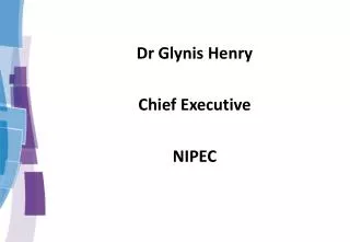 Dr Glynis Henry Chief Executive NIPEC