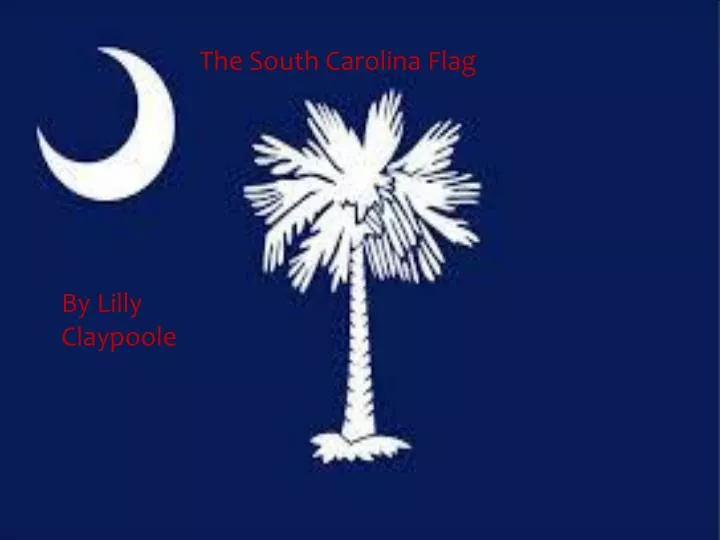 the south carolina flag