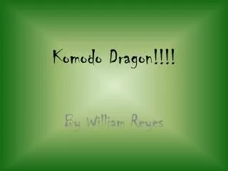Komodo Dragon!!!!