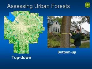 Assessing Urban Forests