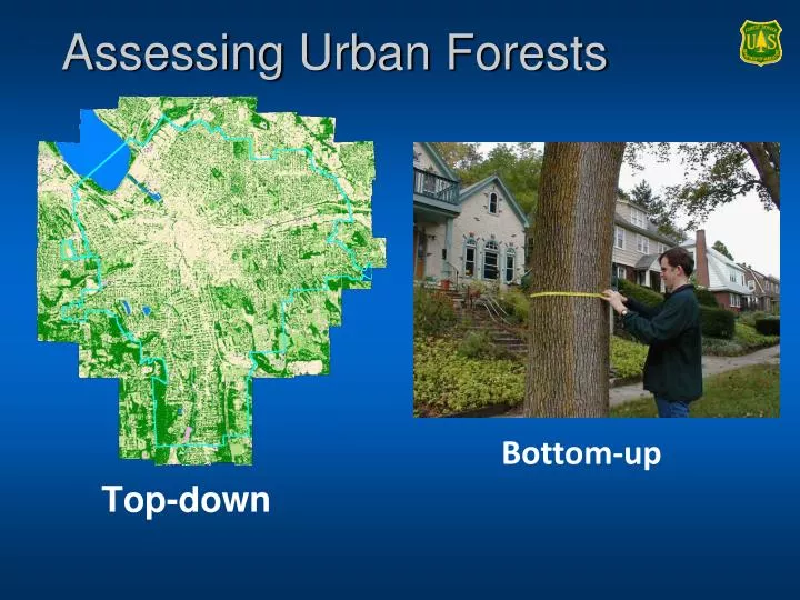 assessing urban forests