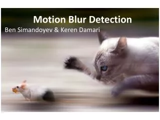 Motion Blur Detection