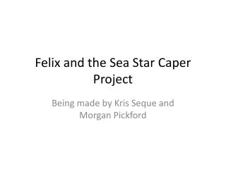 Felix and the Sea Star Caper Project