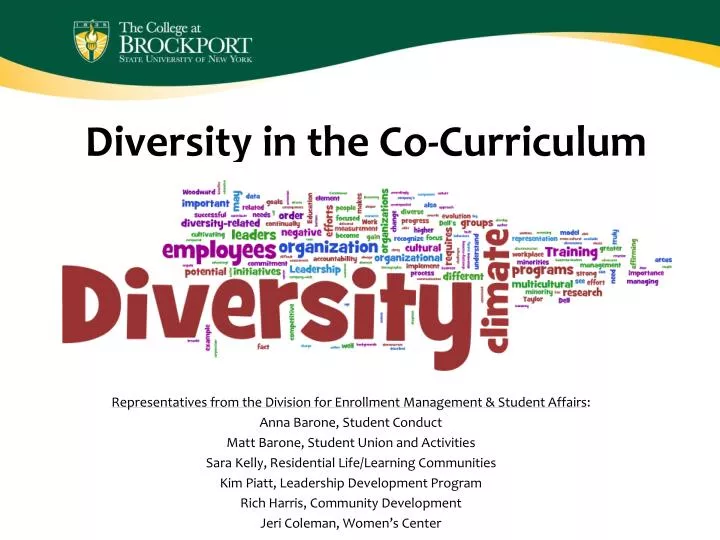diversity in the co curriculum
