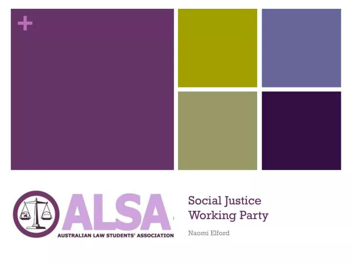 social justice working party