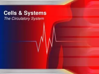Cells &amp; Systems The Circulatory System