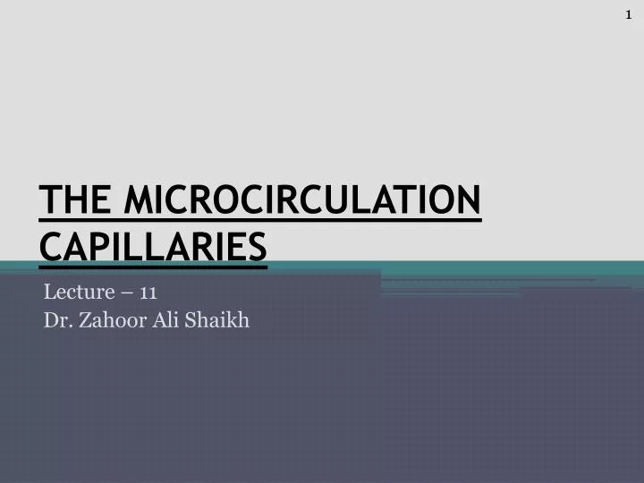 the microcirculation capillaries