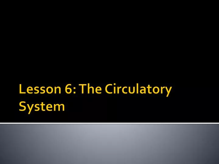 lesson 6 the circulatory system