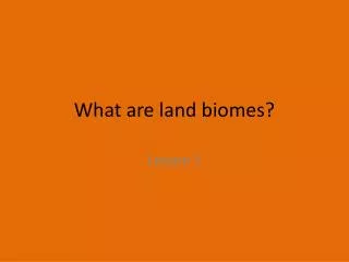 What are land biomes?